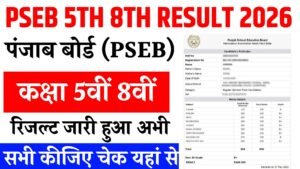 Punjab Board 5th 8th Result 2026
